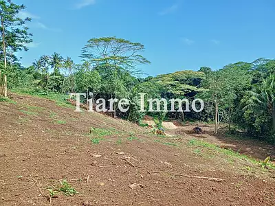 Terrain, 1 600 m²
