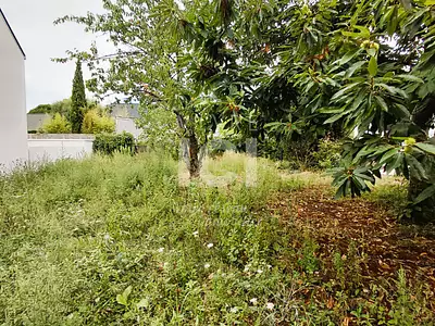 Terrain, 426 m²