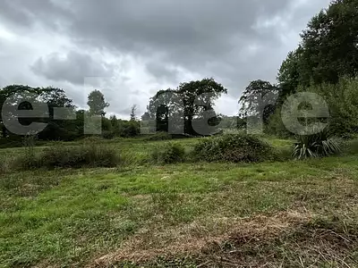 Terrain, 7 546 m²