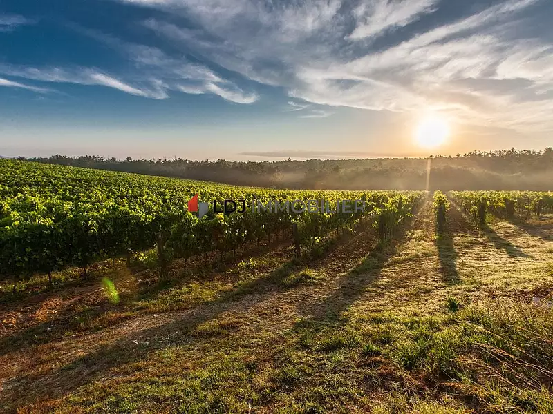 Terrain, 210 000 m²