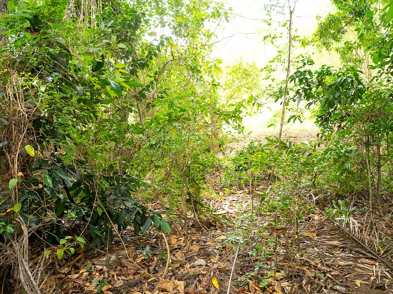 Terrain, 10 000 m²