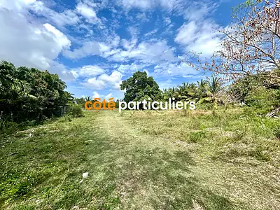 Terrain, 5 000 m²