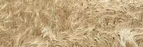 Chrystèle PORTMANN - Propriétés-privées.com