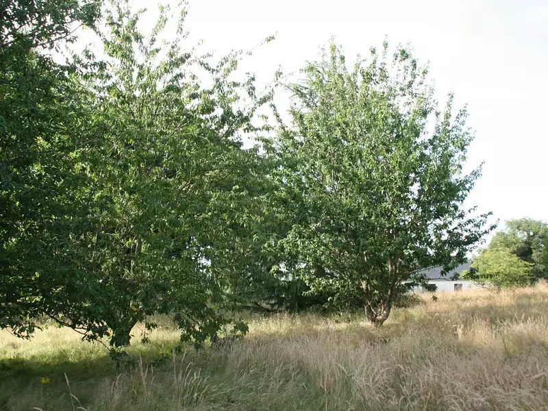 Terrain, 2 500 m²