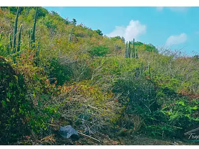 Terrain, 3 433 m²