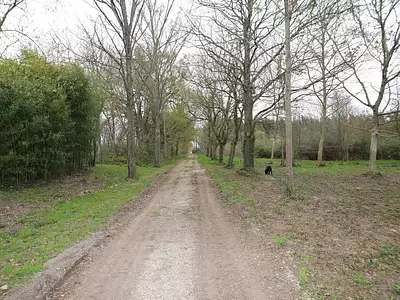 Maison, 428 m²