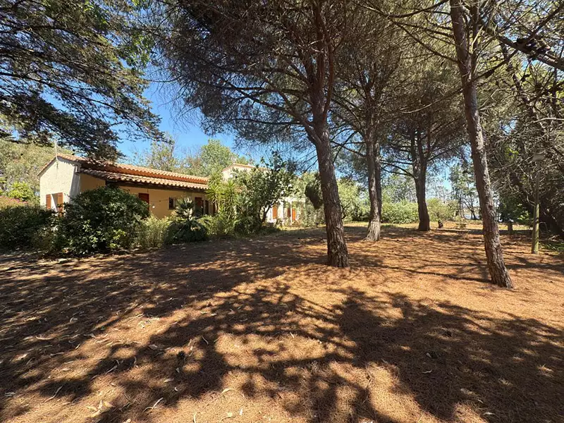 Maison, 240 m²