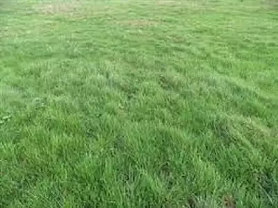 Terrain à bâtir, 260 m²