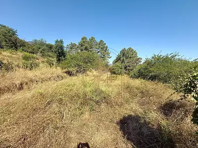 Terrain, 939 m²