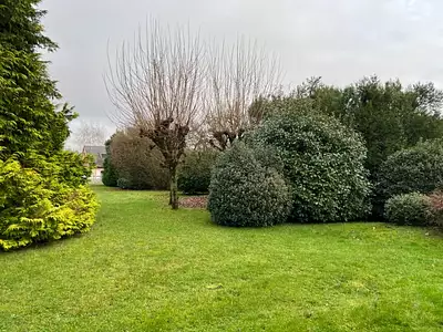 Terrain, 401 m²