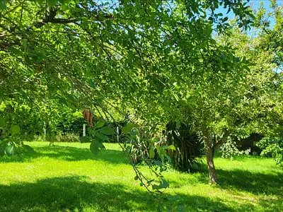 Maison, 47 m²