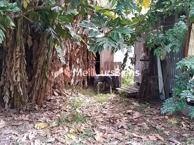 Maison, 260 m²