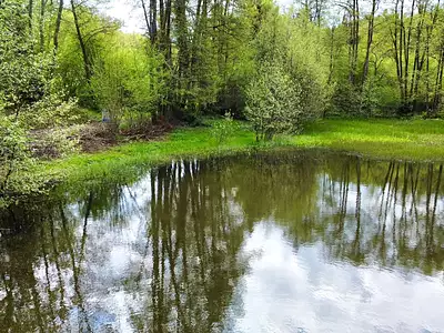 Terrain, 17 892 m²