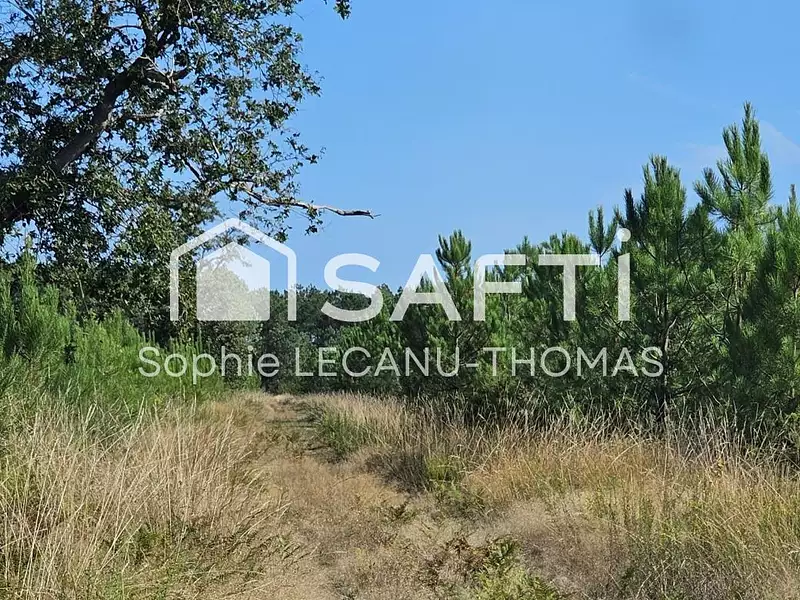Terrain, 117 075 m²