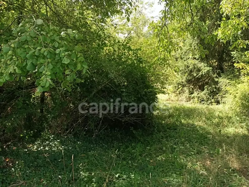 Terrain, 836 m²