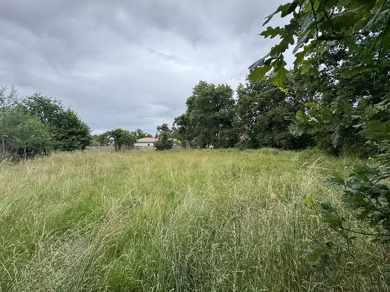Terrain, 1 233 m²