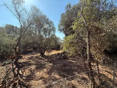 Terrain, 1 440 m²
