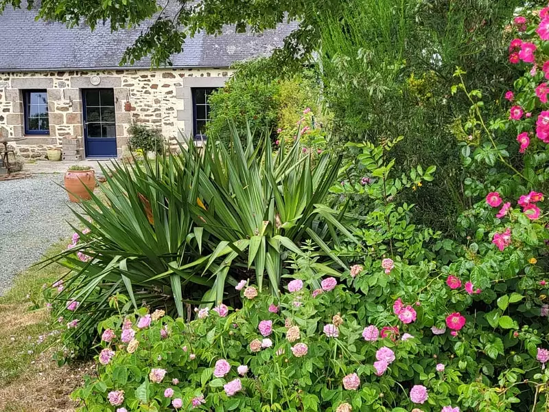 Maison, 53 m²
