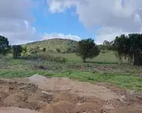 Terrain, 1 000 m²