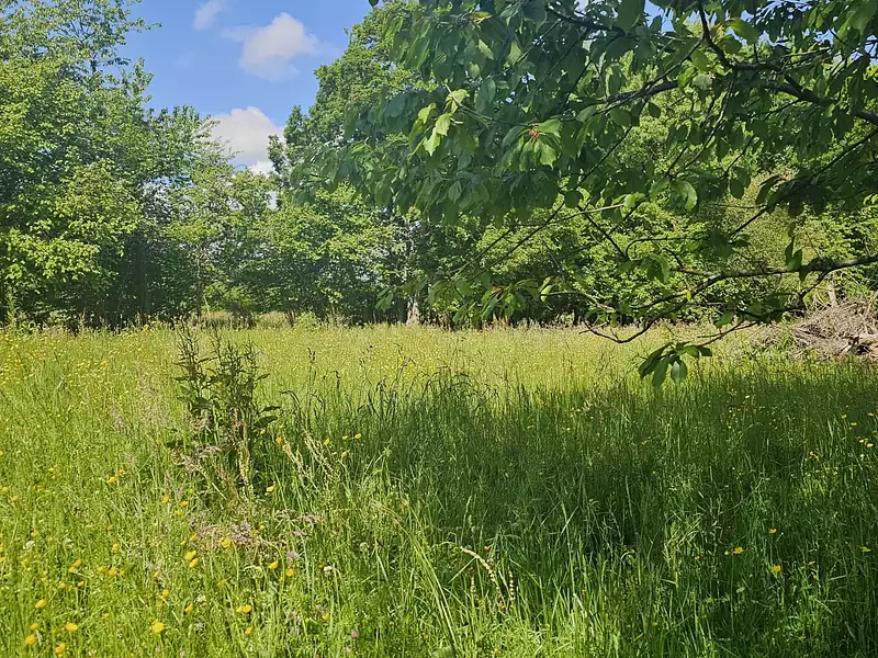 Terrain, 5 181 m²