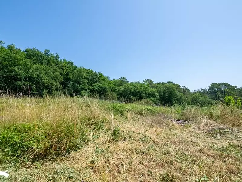 Maison, 95 m²
