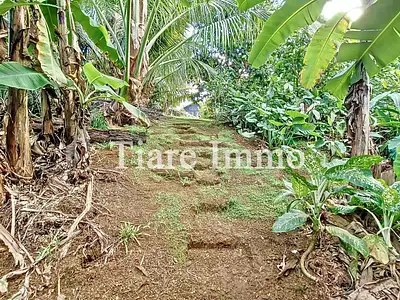 Terrain, 5 000 m²