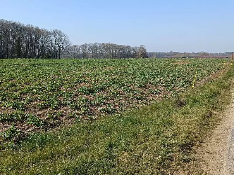 Terrain, 659 m²