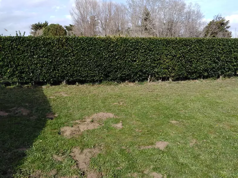 Terrain, 780 m²