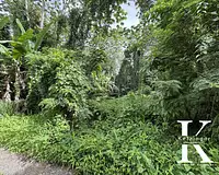 Terrain, 800 m²