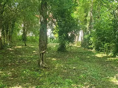Terrain, 585 m²