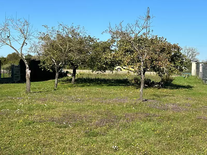 Terrain, 1 519 m²