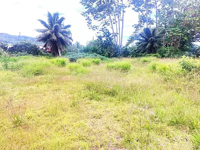 Terrain, 2 085 m²