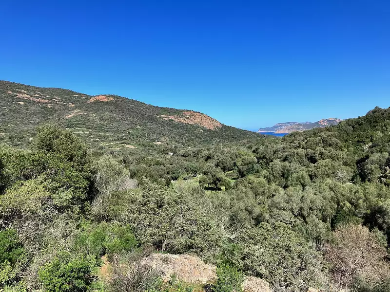 Terrain, 2 320 m²