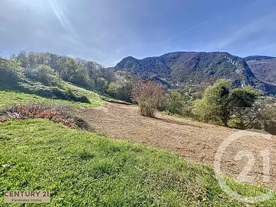 Terrain