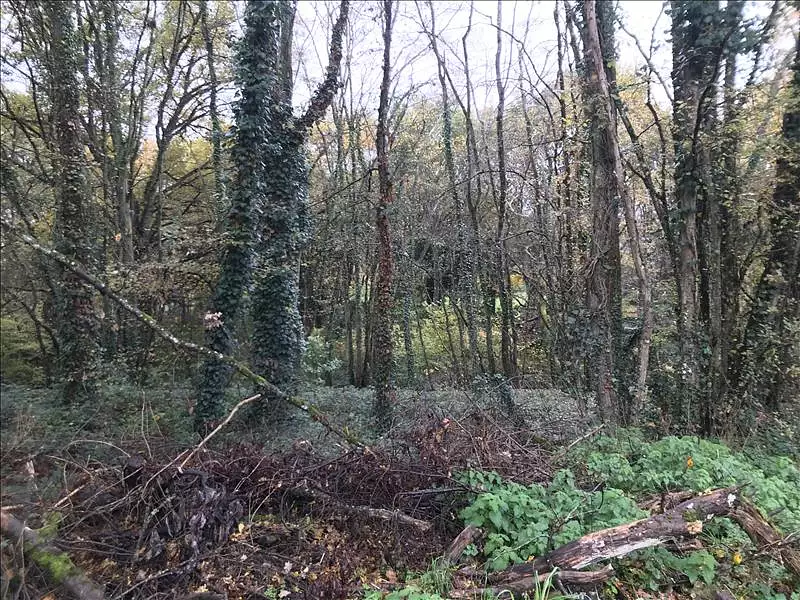 Terrain, 6 513 m²
