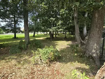Maison, 243 m²