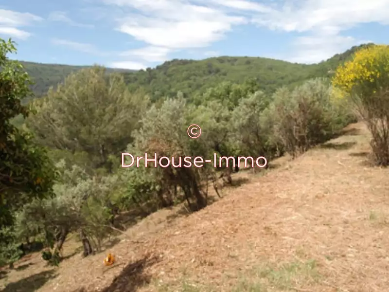 Terrain, 1 675 m²