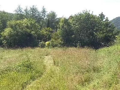 Terrain, 1 489 m²