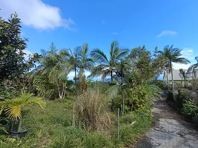 Terrain, 406 m²