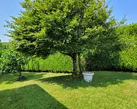 Maison, 176 m²