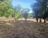 Terrain, 10 004 m²