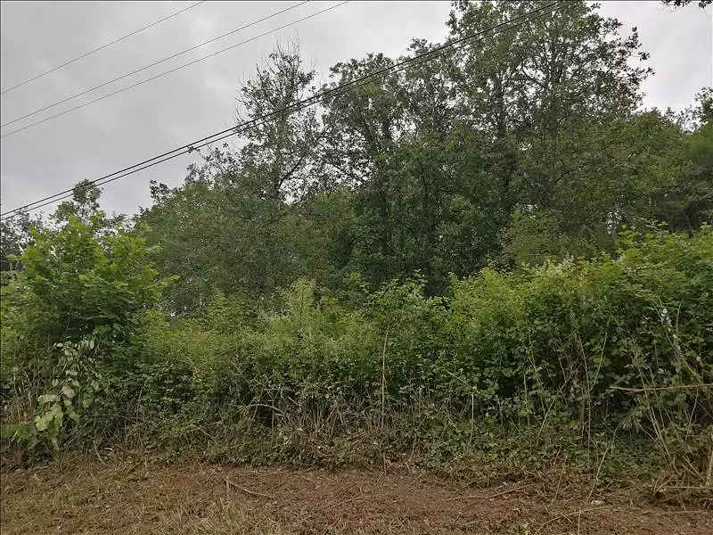 Terrain, 982 m²