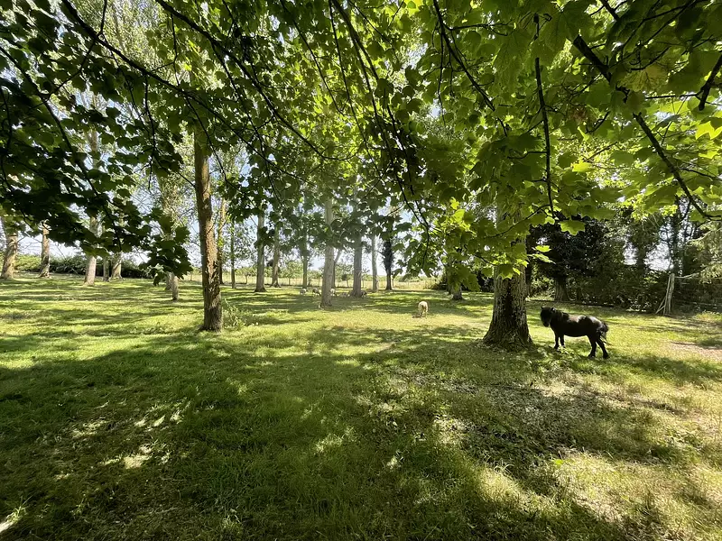 Terrain, 6 900 m²