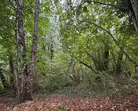 Terrain, 159 203 m²