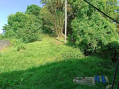 Maison, 84 m²