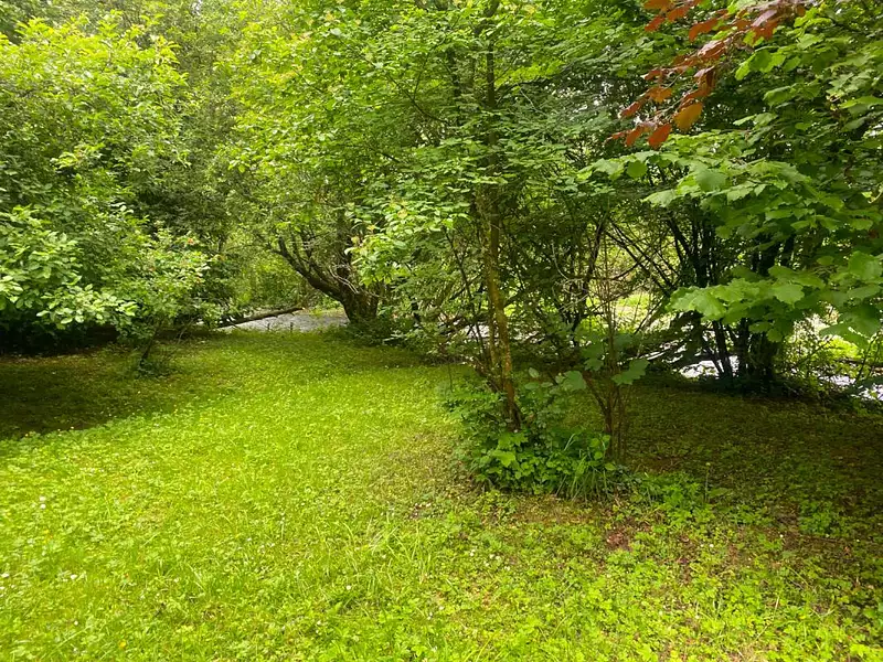 Terrain, 1 240 m²