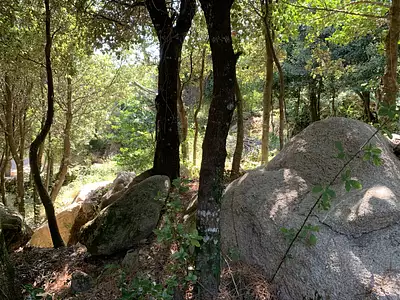 Terrain, 495 m²