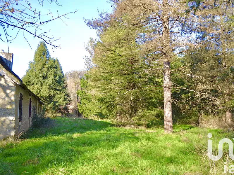 Maison, 50 m²