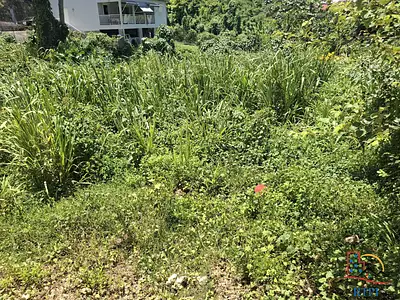 Terrain, 544 m²