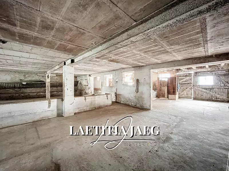 Maison, 650 m²